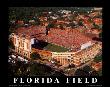 Florida Field by Mike Smith Limited Edition Print