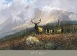 Bookcliffs Elk Ii by Michael Coleman Limited Edition Print