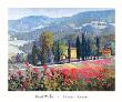 Home In Greve by Kent Wallis Limited Edition Pricing Art Print