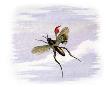 Flying Away by Richard Doyle Limited Edition Print