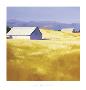 Summer Fields by Carol Satriani Limited Edition Pricing Art Print