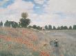 Wild Poppies, Near Argenteuil by Claude Monet Limited Edition Print