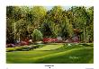 Augusta, 11Th Hole by Nancy Raborn Limited Edition Pricing Art Print