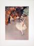 Dancer by Edgar Degas Limited Edition Print