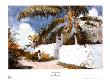 Garden In Nassau by Winslow Homer Limited Edition Print