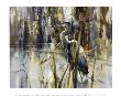 Keeper Of The Pond by Brent Heighton Limited Edition Print