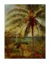 Palm Tree, Nassau by Albert Bierstadt Limited Edition Print