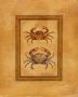 Sea Crab Ii by Debra Swartzendruber Limited Edition Print