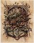 Florentine Relief Ii by Steve Butler Limited Edition Print