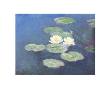 Nympheas Effet Du Soir by Claude Monet Limited Edition Print