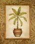 Tropic Palm I by Debra Swartzendruber Limited Edition Pricing Art Print