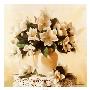 Magnolia On Lace by Joyce Birkenstock Limited Edition Pricing Art Print