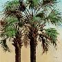 Twin Palms by Paul Brent Limited Edition Pricing Art Print