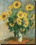 Sunflowers, C.1881 by Claude Monet Limited Edition Print