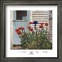 Poppies And Iris by Peter Poskas Limited Edition Print