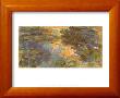 The Water Lily Pond, 1918 by Claude Monet Limited Edition Print