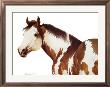 Arizona Paint by Reginald Jones Limited Edition Print