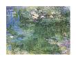 White And Purple Water Lilies, 1918 by Claude Monet Limited Edition Print
