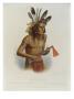 Mato-Tope by Karl Bodmer Limited Edition Print