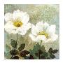 Anemone Ii by Keith Mallett Limited Edition Print