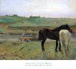Hourses In The Meadow by Edgar Degas Limited Edition Pricing Art Print