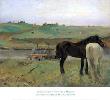 Hourses In The Meadow by Edgar Degas Limited Edition Print