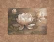 Lotus by Vivian Flasch Limited Edition Print
