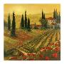 Poppies Of Toscano I by Art Fronckowiak Limited Edition Pricing Art Print