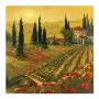 Poppies Of Toscano I by Art Fronckowiak Limited Edition Print