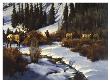 Winter Range Elk by Paco Young Limited Edition Print