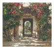 Flowered Doorway by Cyrus Afsary Limited Edition Print