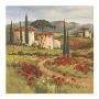 Tuscan Dream I by Barbara Mock Limited Edition Print