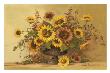 Sunflower Sunset by Barbara Mock Limited Edition Print