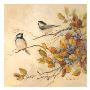Birds Of Autumn I by Barbara Mock Limited Edition Pricing Art Print
