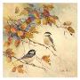 Birds Of Autumn Ii by Barbara Mock Limited Edition Pricing Art Print