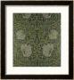 Pimpernel Wallpaper Design, 1876 by William Morris Limited Edition Print