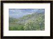 Arbres En Fleurs by Claude Monet Limited Edition Pricing Art Print
