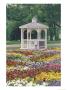 Patchwork Of Pansies And Gazebo, Columbus, Ohio, Usa by Adam Jones Limited Edition Print
