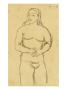Picasso: Female Nude, C1906 by Pablo Picasso Limited Edition Print