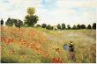 Poppies by Claude Monet Limited Edition Print