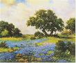 Texas Blue Bonnets by Robert Wood Limited Edition Pricing Art Print