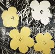 Flowers, C.1966 (Yellow And White) by Andy Warhol Limited Edition Print