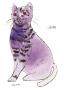 Andy Warhol Limited Edition Pricing Art Prints