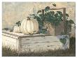 White Pumpkins by Michael Humphries Limited Edition Pricing Art Print