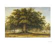 The Beggars Oak by John Glover Limited Edition Print