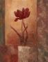 Poppy Silhouette by Vivian Flasch Limited Edition Pricing Art Print