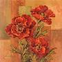 Poppies Terra Cotta by Barbara Mock Limited Edition Print