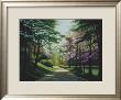 Lakeside Trail by Edward Szmyd Limited Edition Print