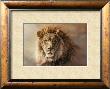 His Majesty by Kalon Baughan Limited Edition Print