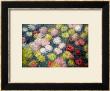 Chrysanthemums, 1897 by Claude Monet Limited Edition Pricing Art Print